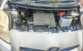 VITZ UBS