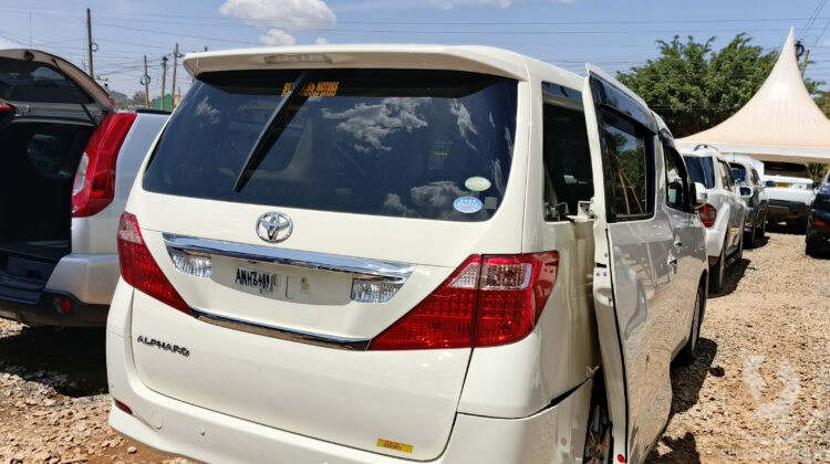 ALPHARD UBS
