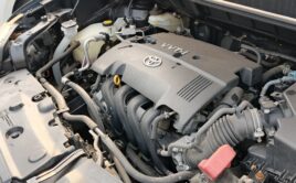 RUMION UBS