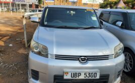 RUMION UBP