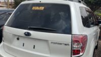 FORESTER UBS 889F