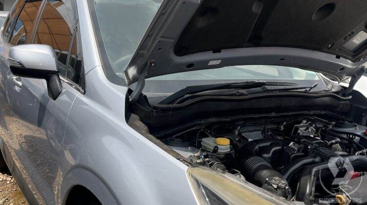 FORESTER UA 239AW