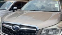 FORESTER UA 495BM