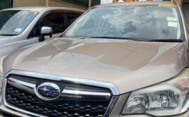 FORESTER UA 495BM