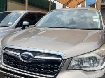 FORESTER UA 495BM