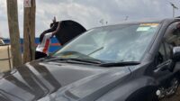 IMPREZA UBS 143H